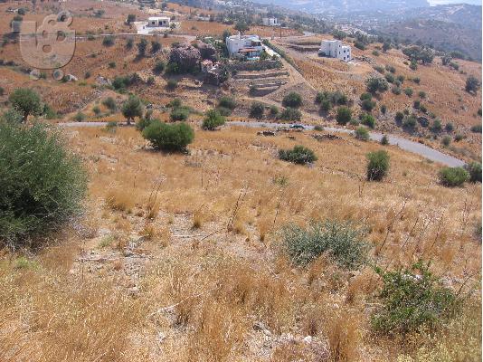 PoulaTo: ΦΙΛΕΤΟ(ευκαιρια)Ν.Ρεθυμνου